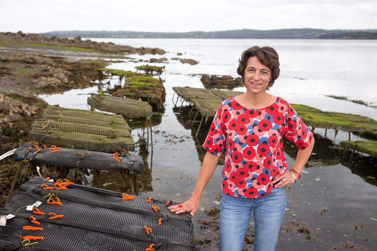Charlotte Corporeau, chercheuse à l'Ifremer. Pointe du château à Logonna-Daoulas. © Fanch Galivel