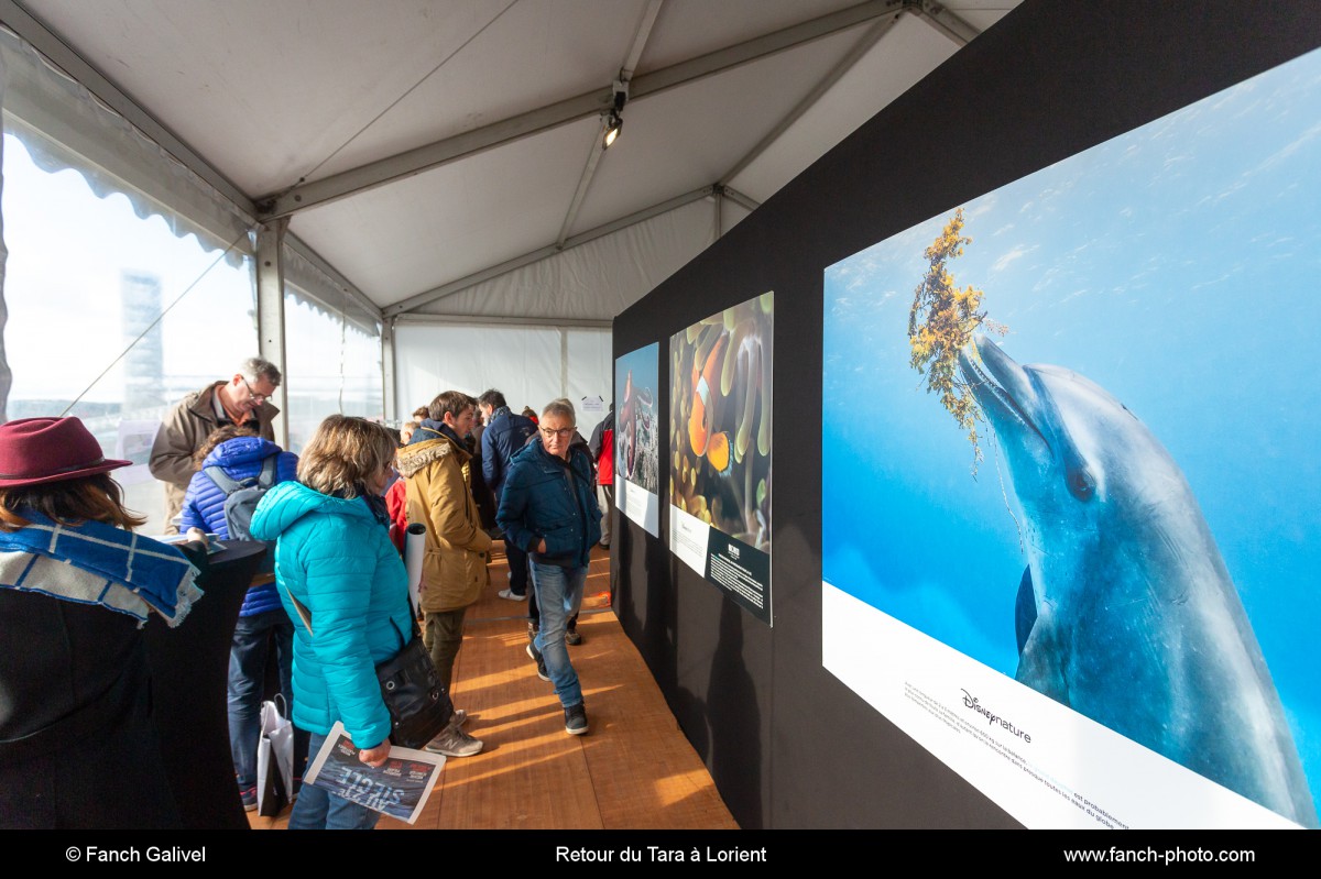 Exposition _ Retour du Tara