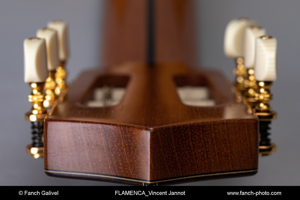 Guitare Flamenca _ Luthier : Vincent Jannot