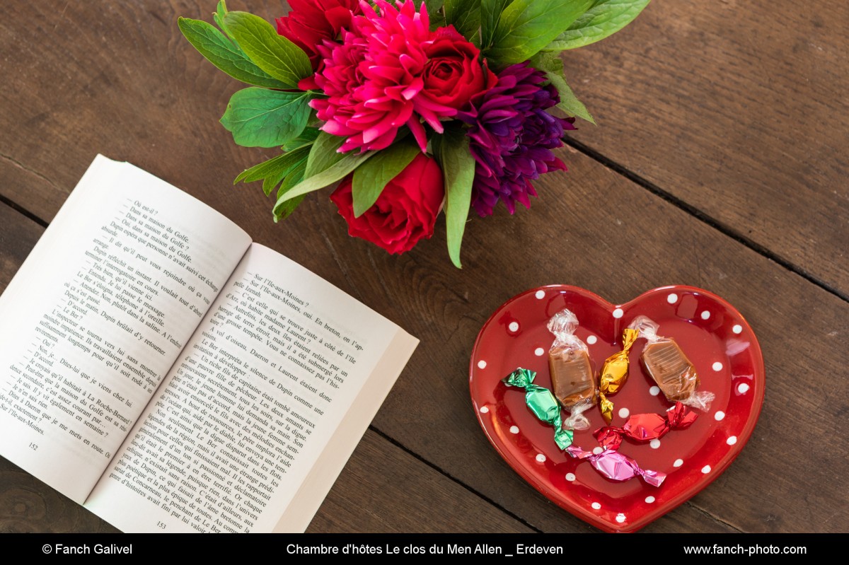 CHAMBRE FLEURS DE BAGATELLE. Chambre d'hôtes  Le clos du Mèn-Allèn - Morbihan
