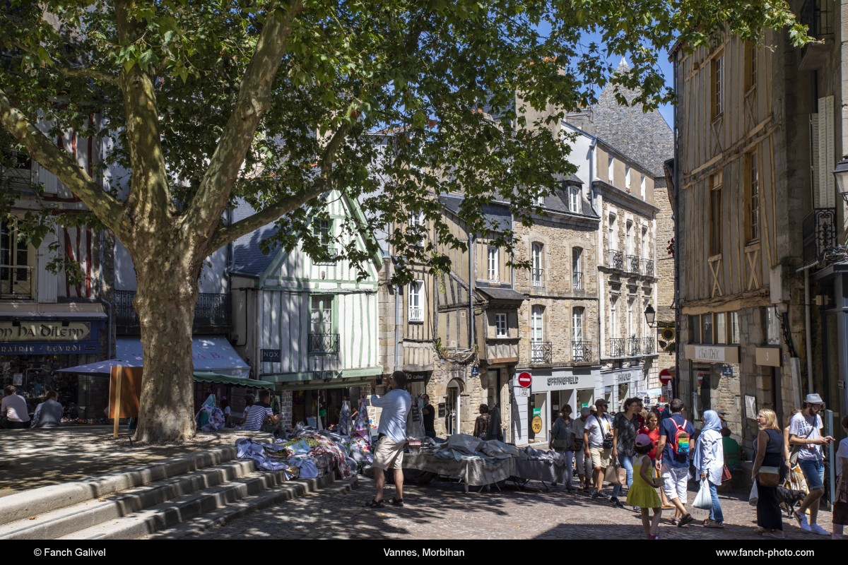 Centre historique de Vannes. La place brûlée et son arbre situé derrière la cathédrale St Pierre.***Historic center of Vannes. The place burned and its tree located behind the cathedral St Pierre.