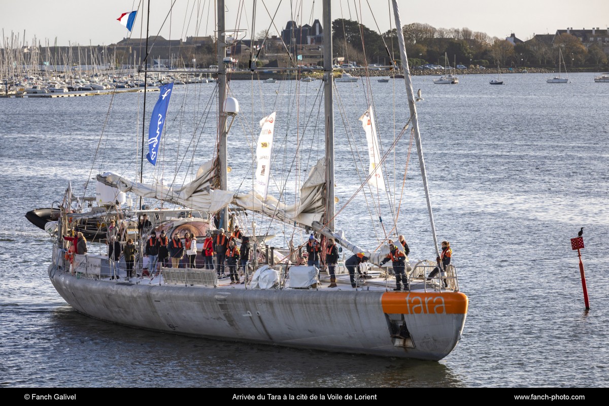 Arrivée du Tara à la cité de la voile de Lorient le 23 novembre 2019