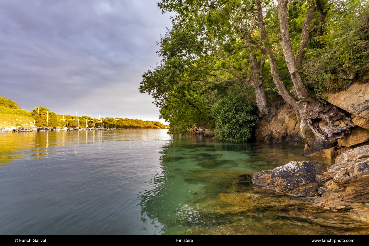 Anse du Poul Don sur le fleuve l'Aven. Commune de Névez dans le Finistère***Anse du Poul Don on the Aven river. Commune of Névez in Finistère
