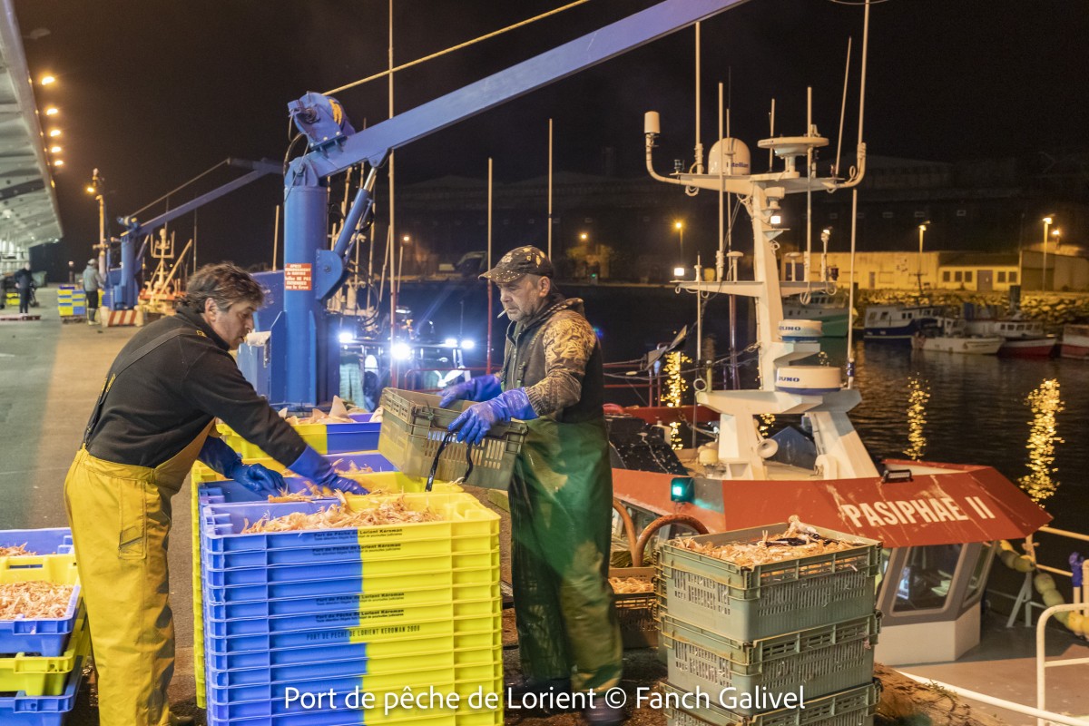 Port de pêche de Lorient
