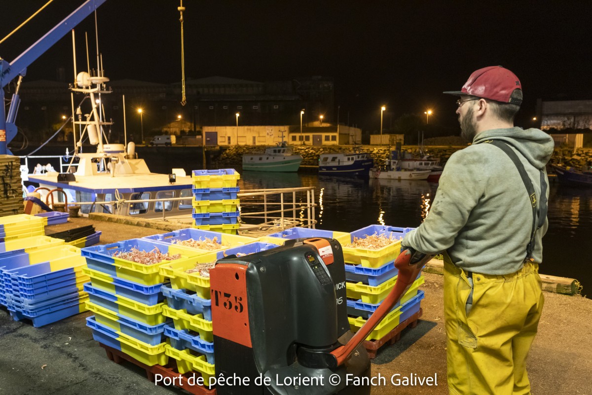 Port de pêche de Lorient