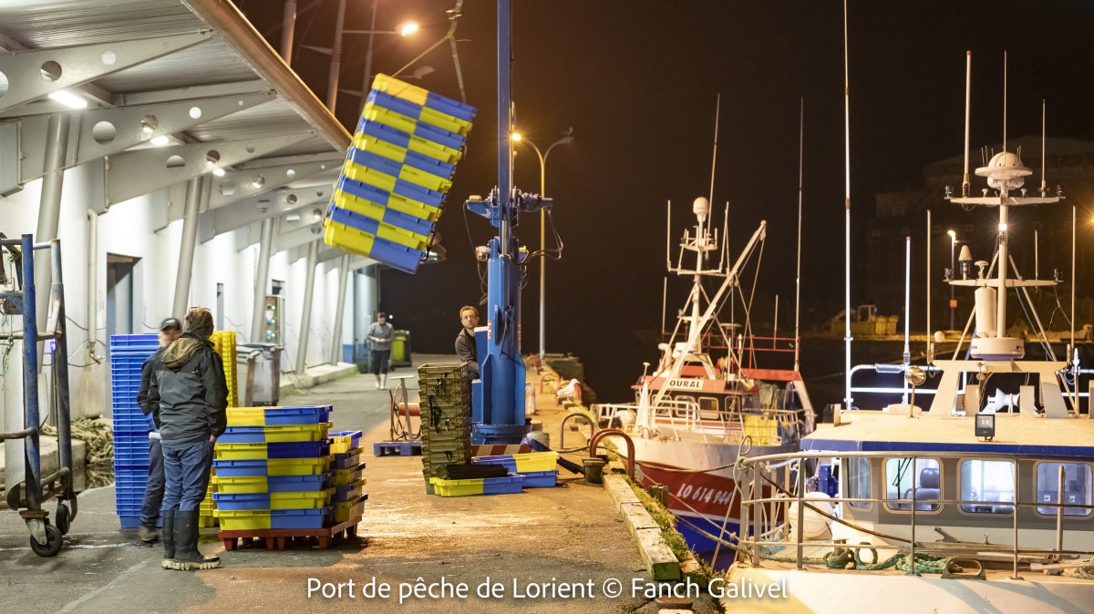 Port de pêche de Lorient