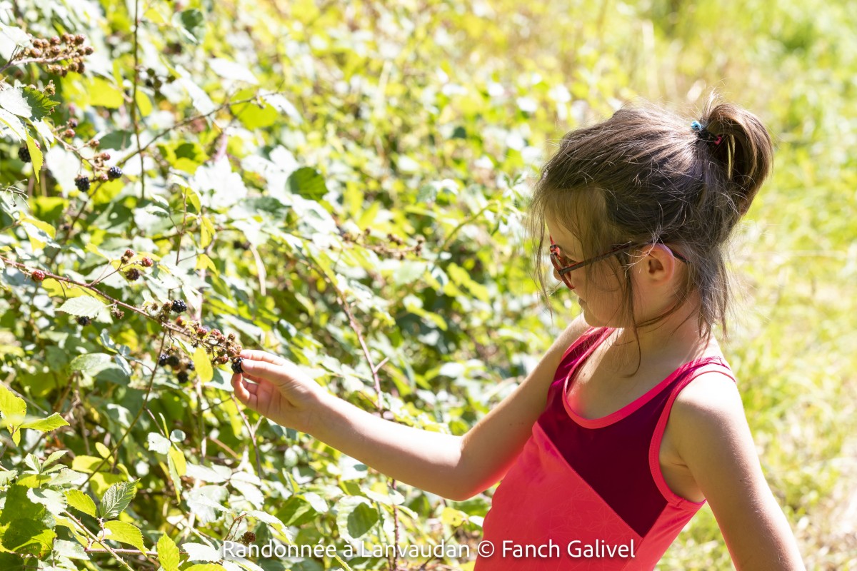 Randonnée à Lanvaudan