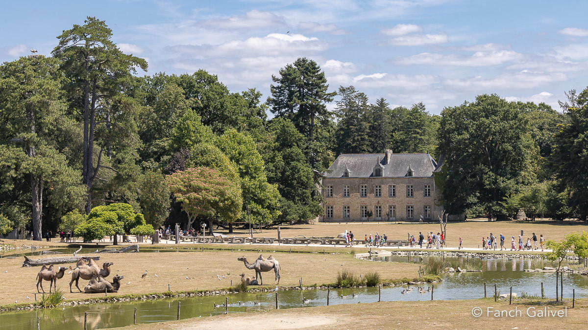 Plaine africaine de Branféré