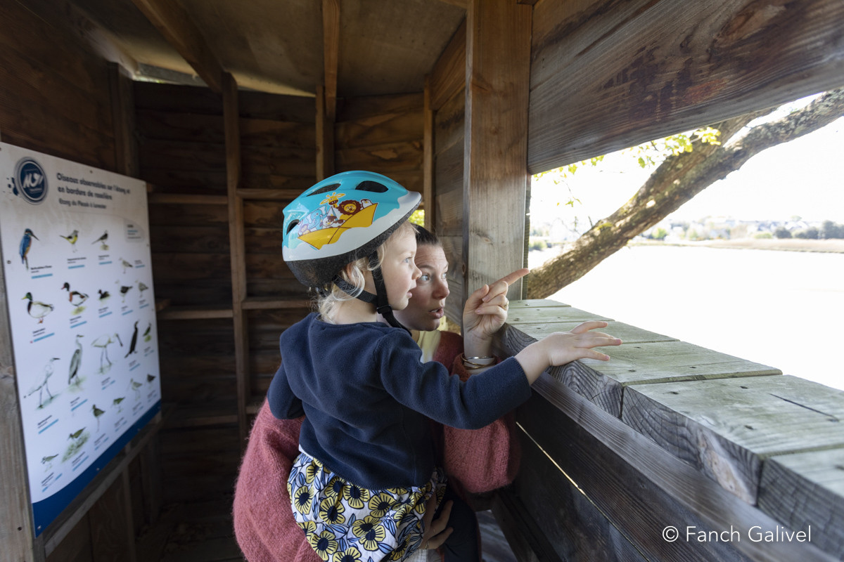 observatoire d'oiseaux aux abords de l'étang du Plessis
