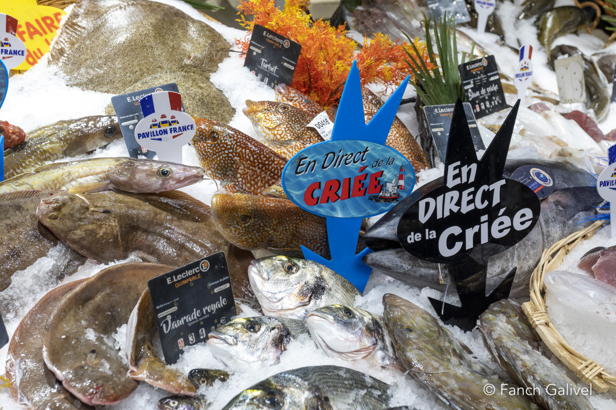 Rayon Marée au Centre Leclerc de Quimperlé