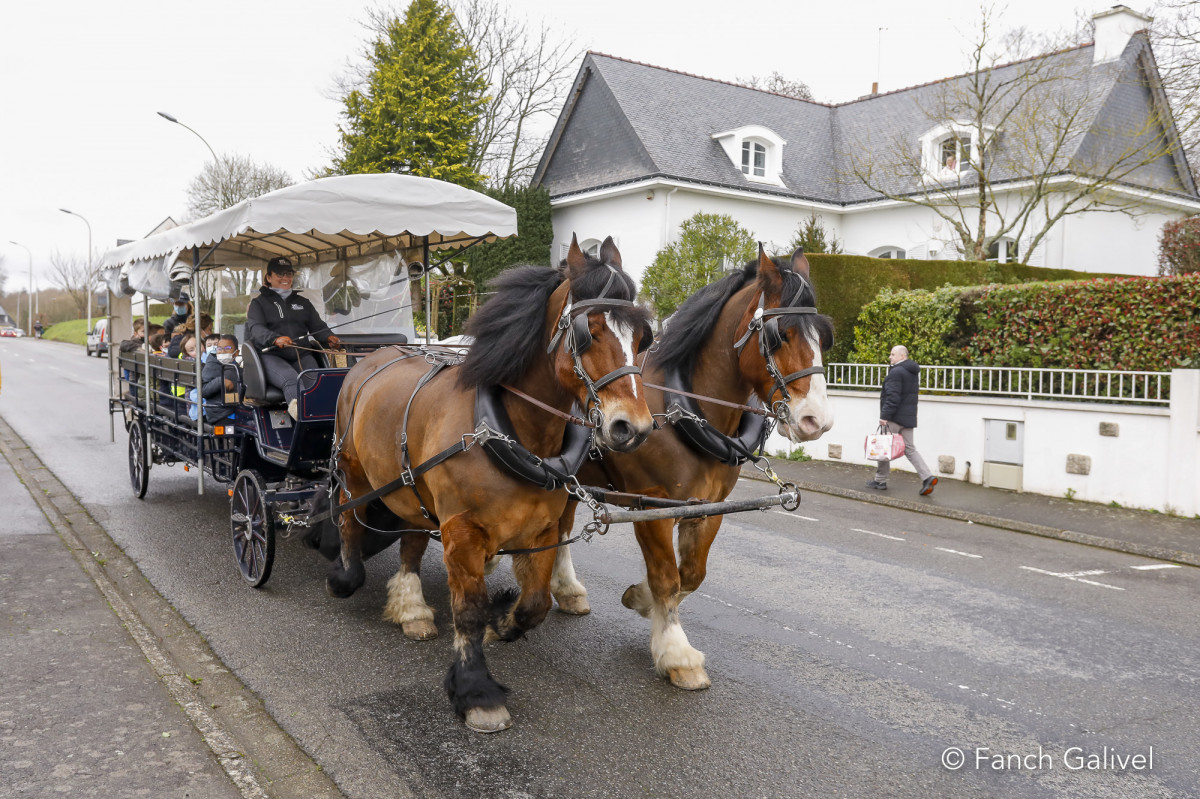 Trajet en calèche entre le Centre de Loisirs et la cantine d'Hennebont