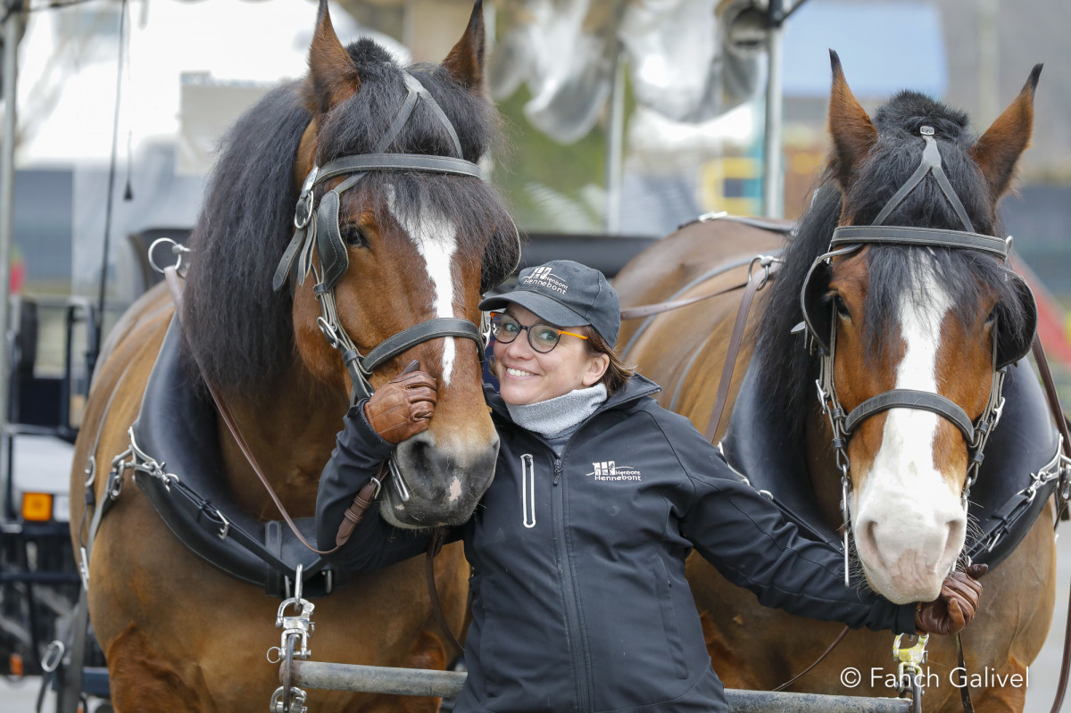Trajet en calèche entre le Centre de Loisirs et la cantine d'Hennebont