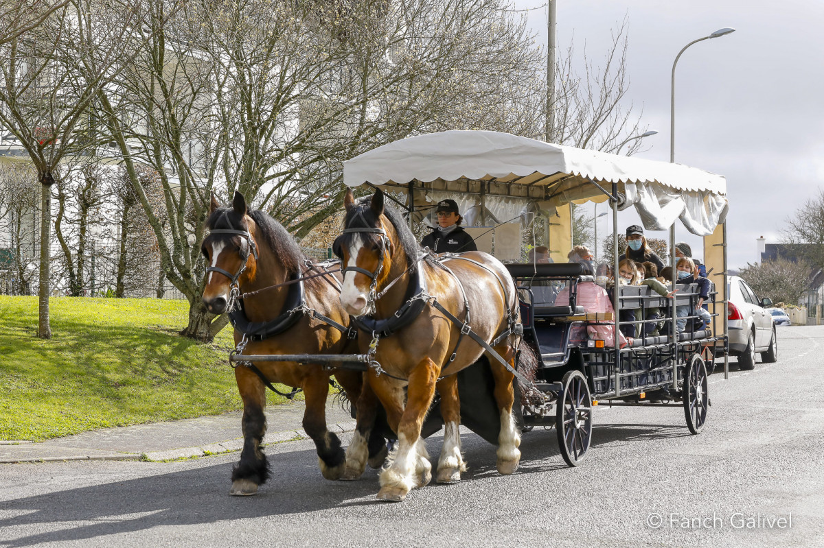 Trajet en calèche entre le Centre de Loisirs et la cantine d'Hennebont