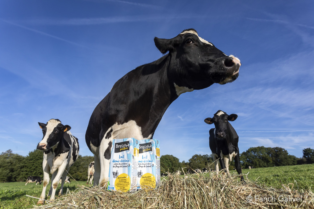 Lait Breizh Positive _ Pont-Scorff