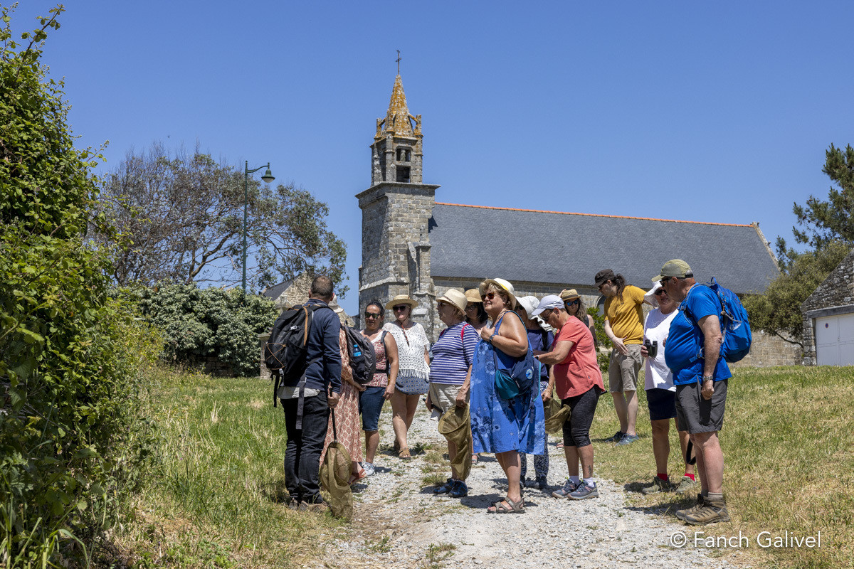 Plouharnel _ Balade Orchidées et papillons à Sainte-Barbe avec le Syndicat Mixte du grand Site Gâvres-Quiberon. Aqta _ Semaine du developpement durable