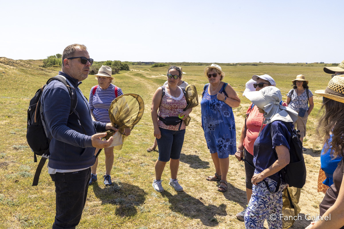 Plouharnel _ Balade Orchidées et papillons à Sainte-Barbe avec le Syndicat Mixte du grand Site Gâvres-Quiberon. Aqta _ Semaine du developpement durable