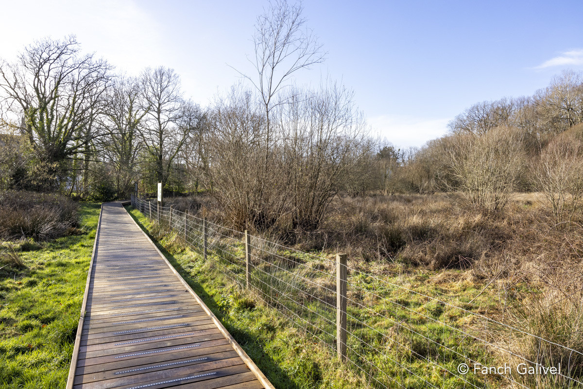 Balade des lavoirs à Languidic