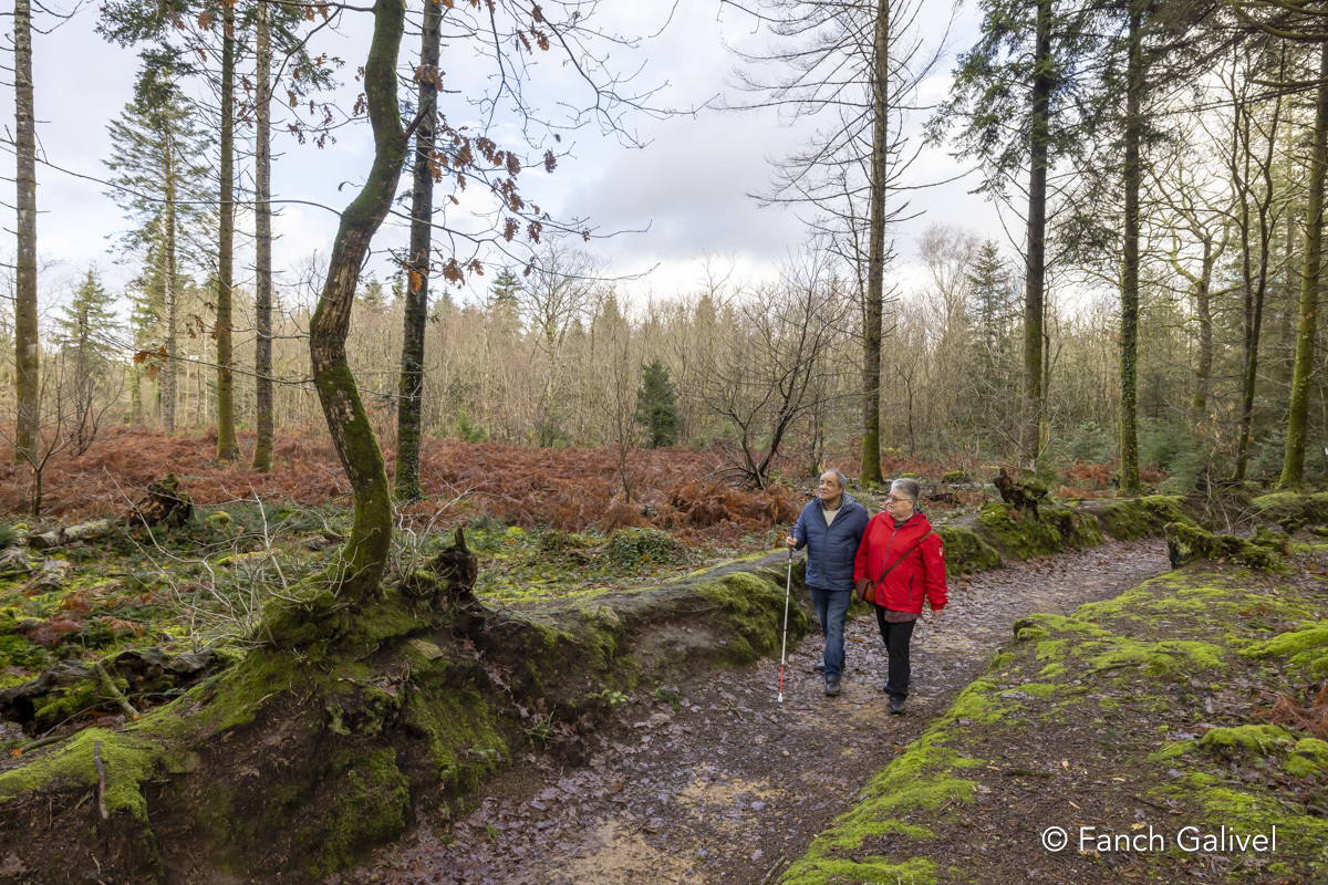 Parcours sensoriel de la forêt de Trémelin à Inzinzac-Lochrist. La balade de la charbonnière est aménagée pour les personnes en situation d'handicap