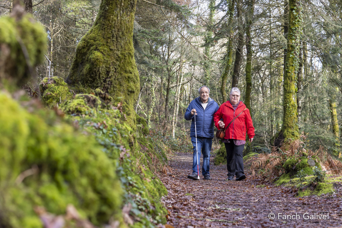 Parcours sensoriel de la forêt de Trémelin à Inzinzac-Lochrist. La balade de la charbonnière est aménagée pour les personnes en situation d'handicap