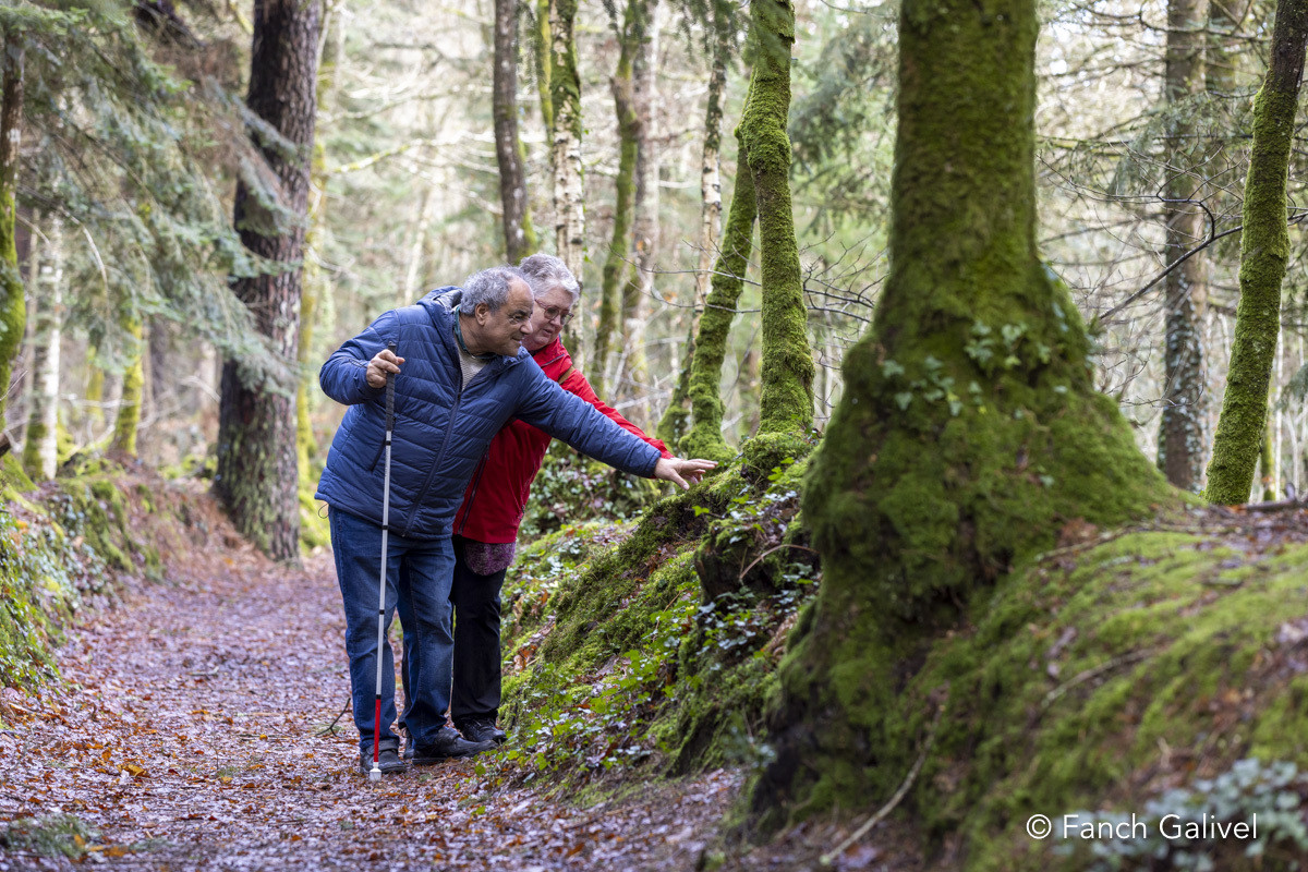 Parcours sensoriel de la forêt de Trémelin à Inzinzac-Lochrist. La balade de la charbonnière est aménagée pour les personnes en situation d'handicap