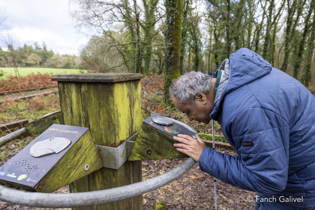 Parcours sensoriel de la forêt de Trémelin à Inzinzac-Lochrist. La balade de la charbonnière est aménagée pour les personnes en situation d'handicap