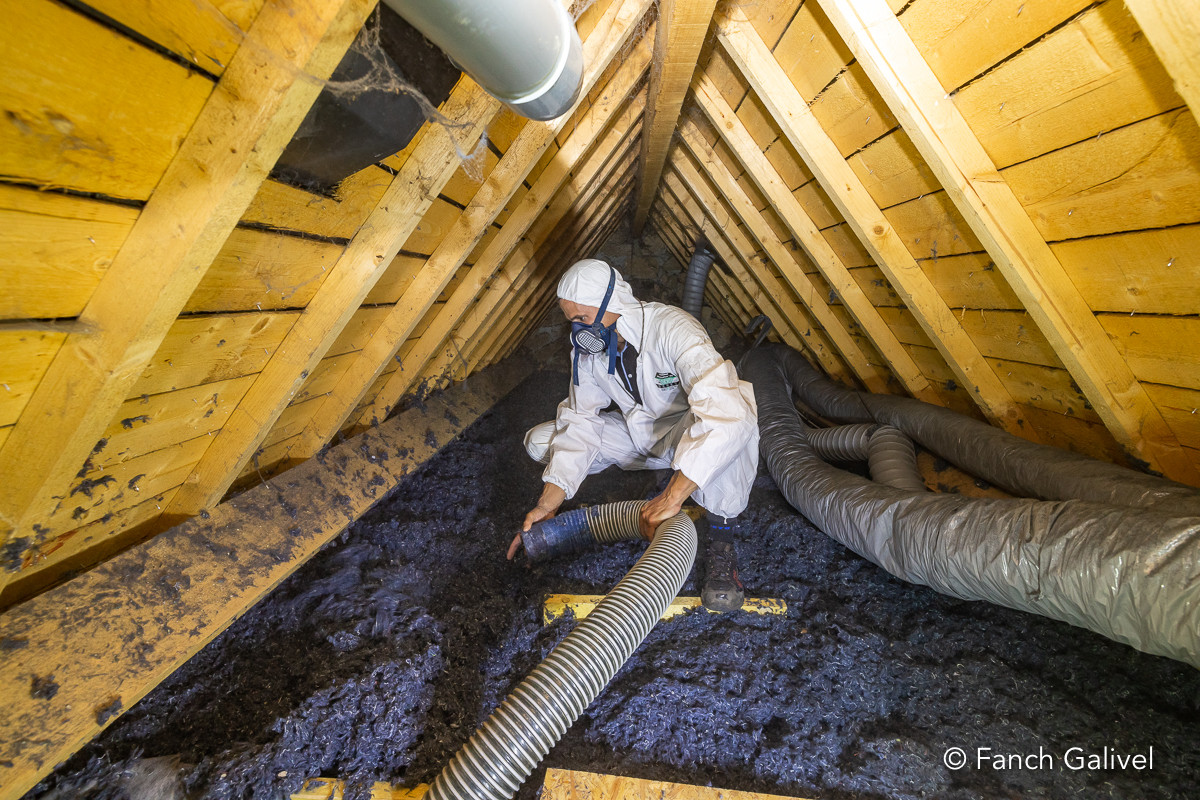 Chanter d'Isolation. Soufflage de Laine de coton dans les combles d'une habitation de Locoal-Mendon. Entreprise Ty'iso