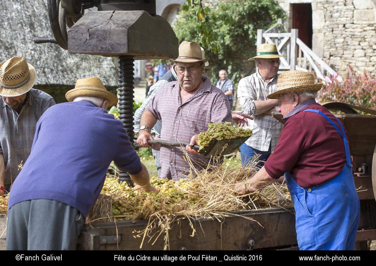 Fabrication du cidre au pressoir. Fête du cidre dans le village de Poul Fétan _ Quistinic (56).