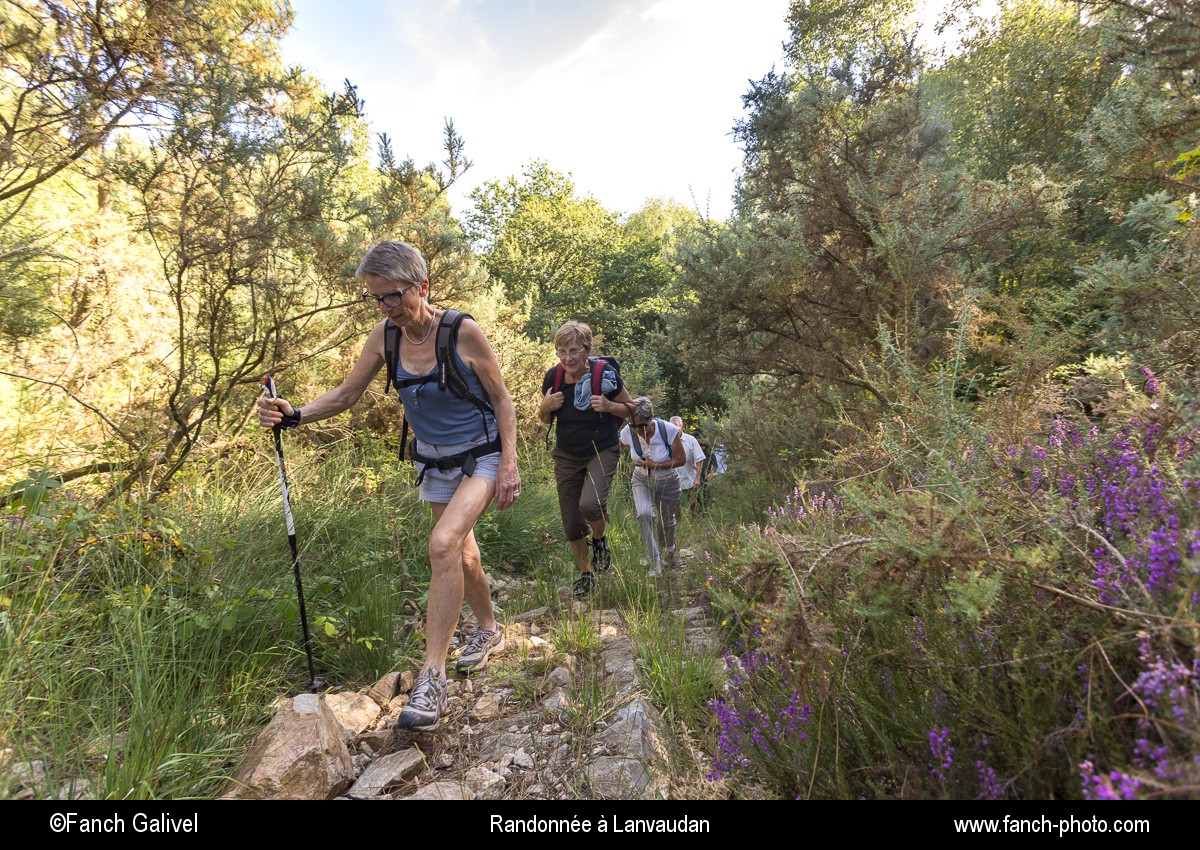 Randonnée pédestre dans les bois et les landes de Lomelec sur la commune de Lanvaudan.