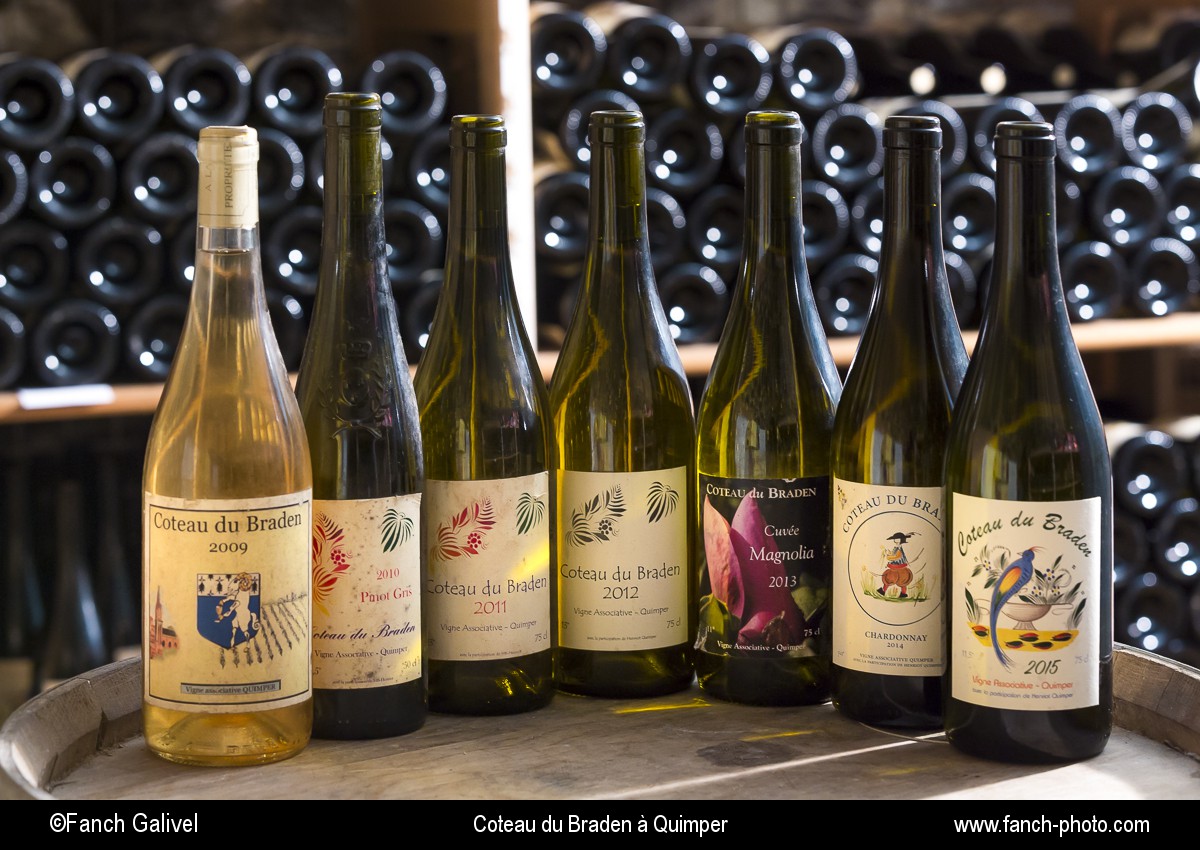 Bouteilles de vin du coteau du Braden à Quimper représentant l'ensemble des années de production ( 2009 à 2015 )
