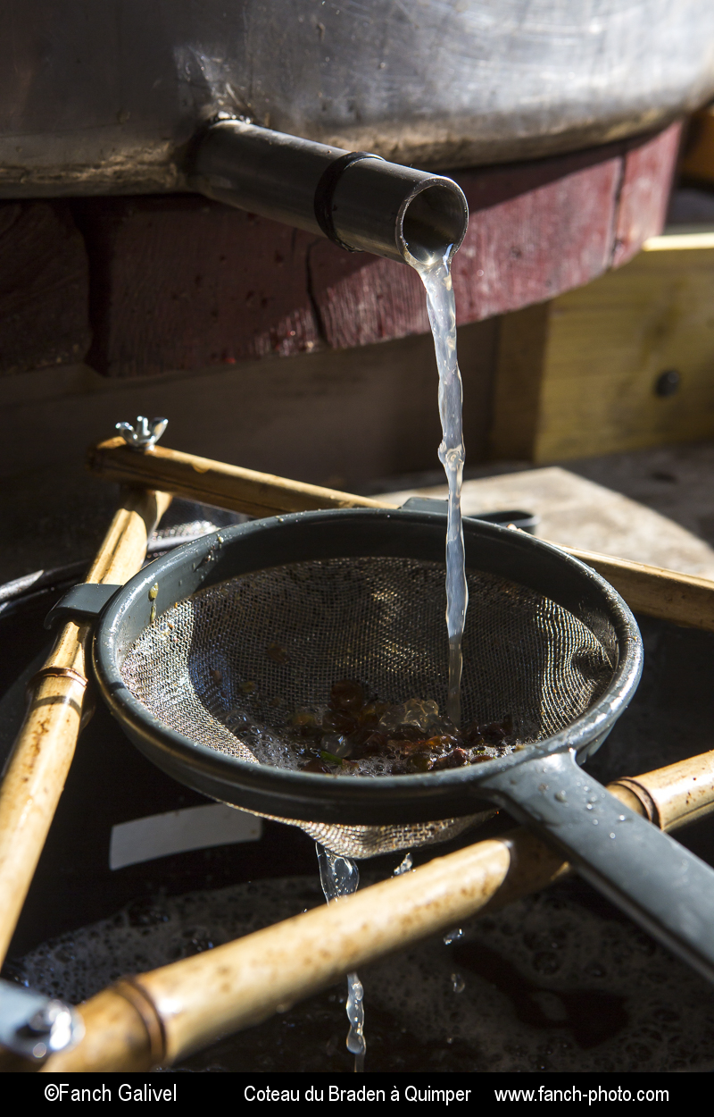 Jus de raisin sortant du pressoir. Coteau de Braden à Quimper