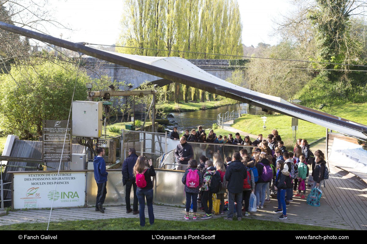 L'Odyssaum à Pont-Scorff