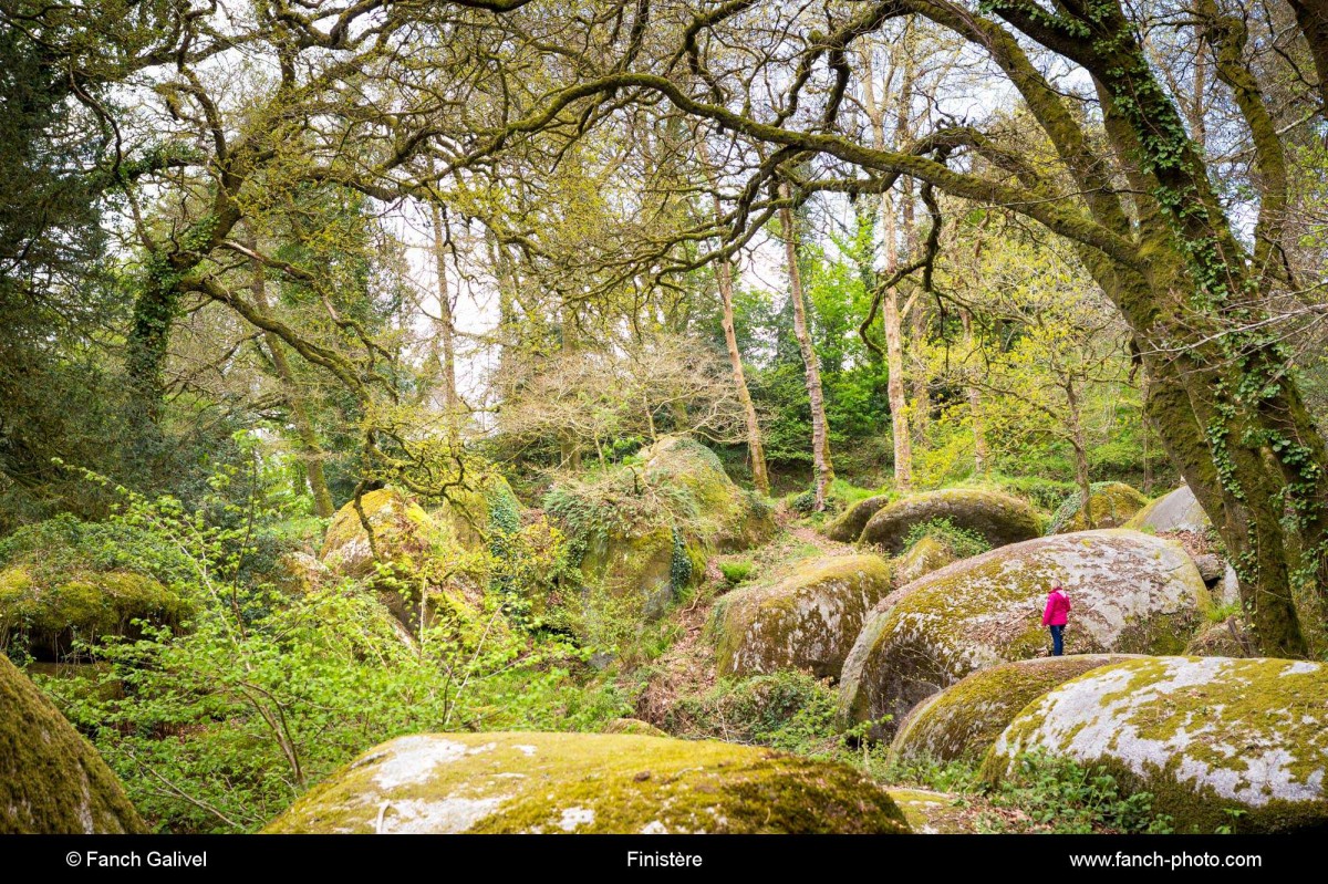 La forêt enchantée de Huelgoat