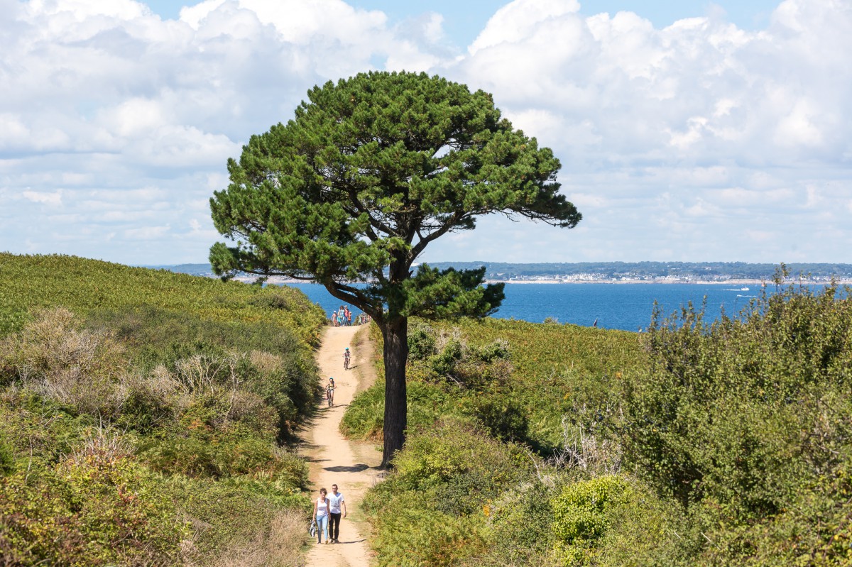 Sentier sur l'île de Groix