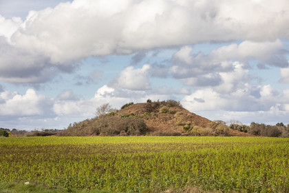 Tumulus de Tumiac à Arzon