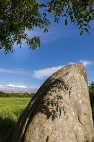 Alignements de Kerzerho _ Erdeven