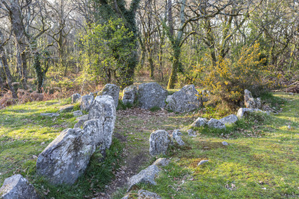 Le site mégalithiques de Mané Bogad à Ploemel