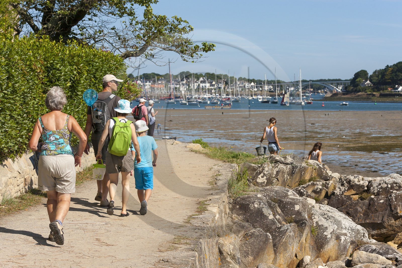 Sentiers des douaniers _ La Trinite sur Mer