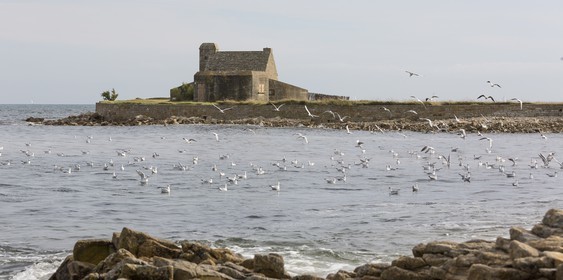 La pointe de Kerbihan _ La Trinité sur Mer