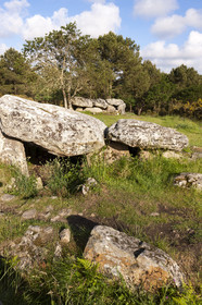 Les dolmens de Mané-Bras à Erdeven