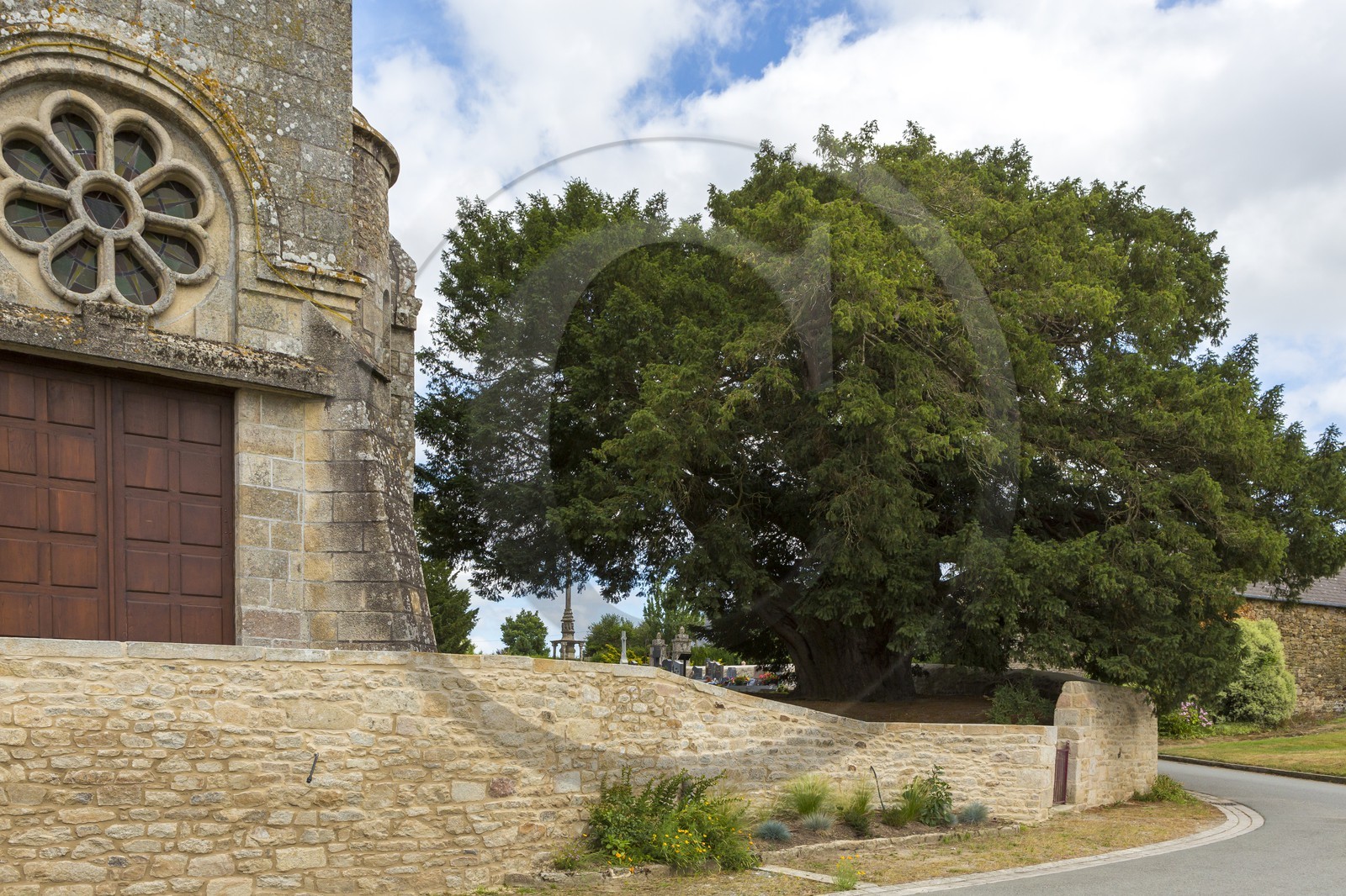 IF _ Eglise Saint Maudez _ Saint Maudez ( 22 )