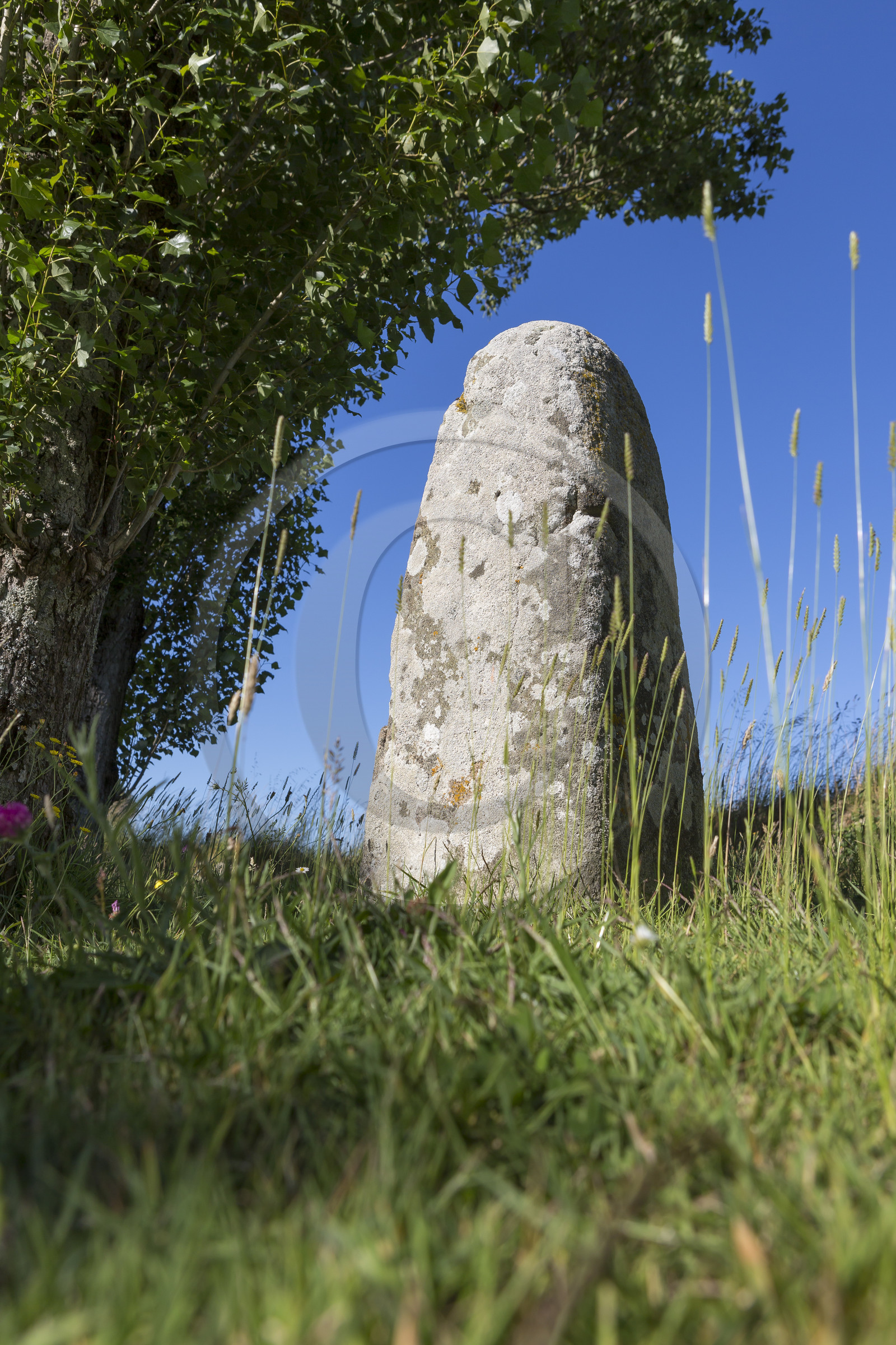 Menhir à St Colomban_Carnac
