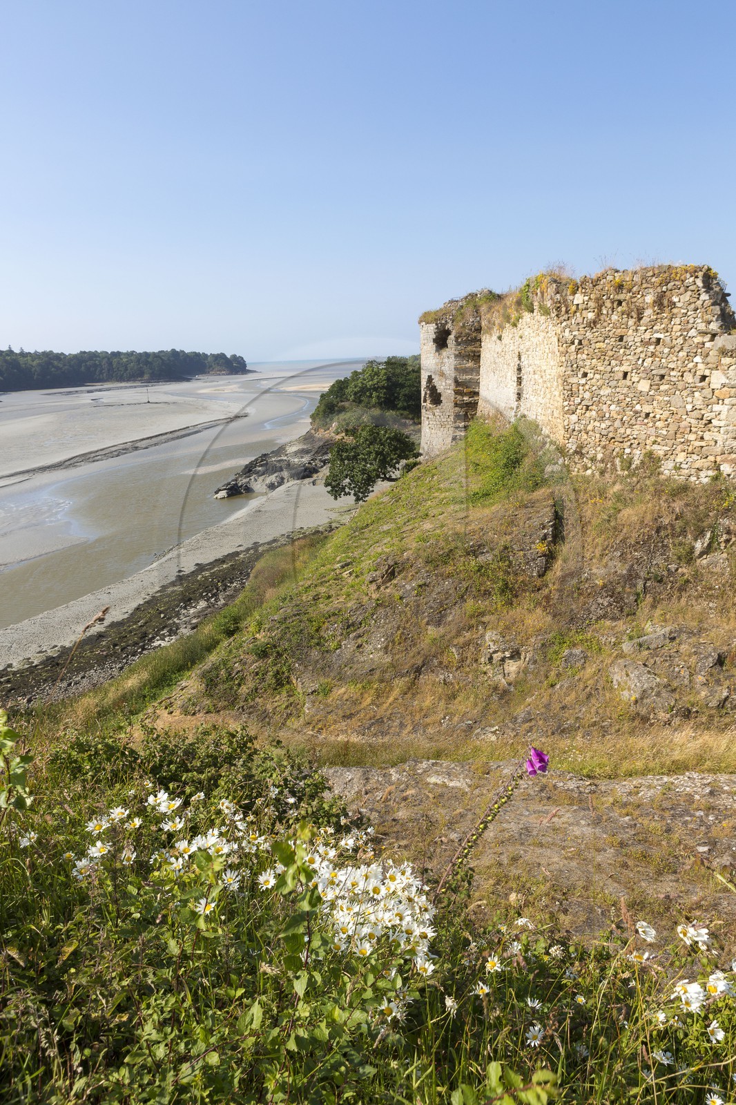 Le château du Guildo