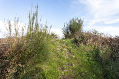 Tumulus de Tumiac à Arzon