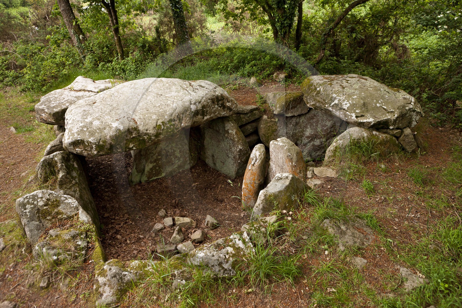 LE DOLMEN DE KERMARQUER