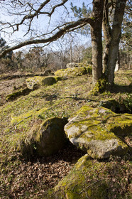 Dolmen de kervilor mane bras. La Trinite su Mer.