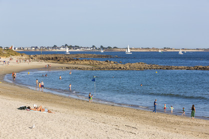 Plage de Kerguelen _ les roseaux à Larmor-Plage