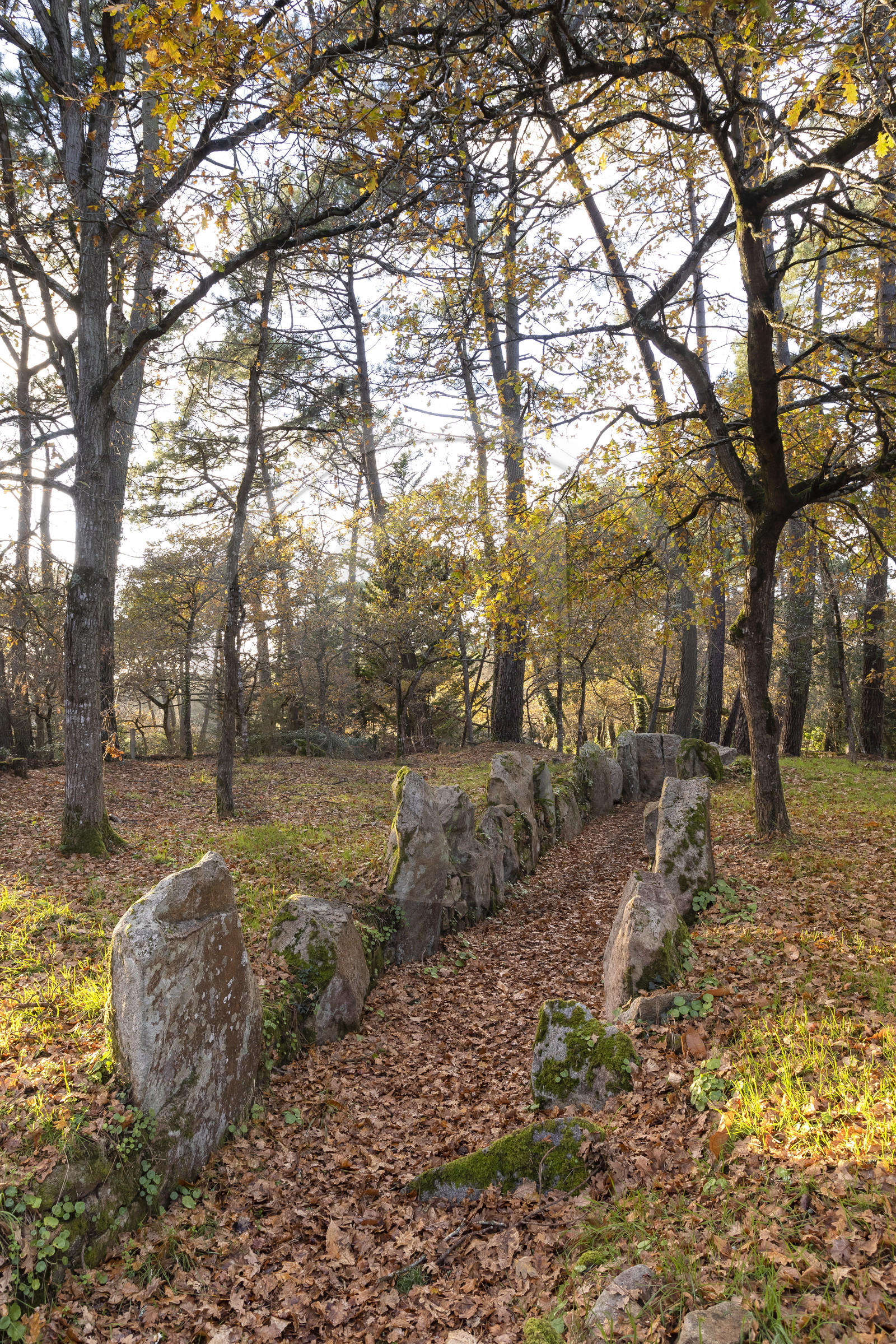 Allée couverte de Luffang Tal-er-Roch à Crach.