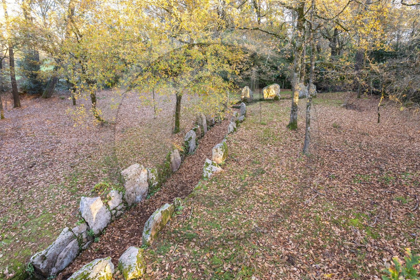 Allée couverte de Luffang Tal-er-Roch à Crach.