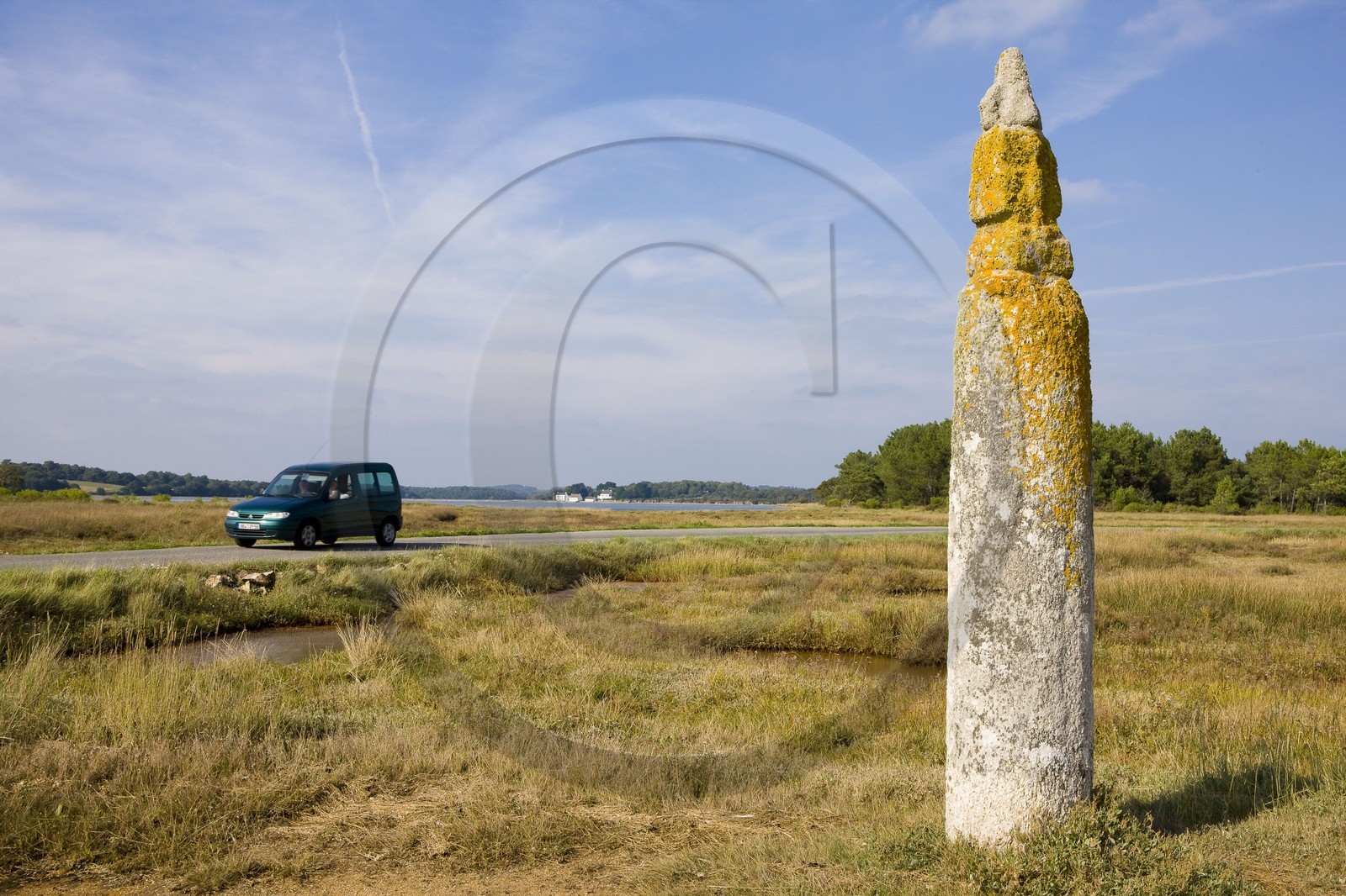 Quenouille Ste Brigitte. Locoal Mendon_Morbihan