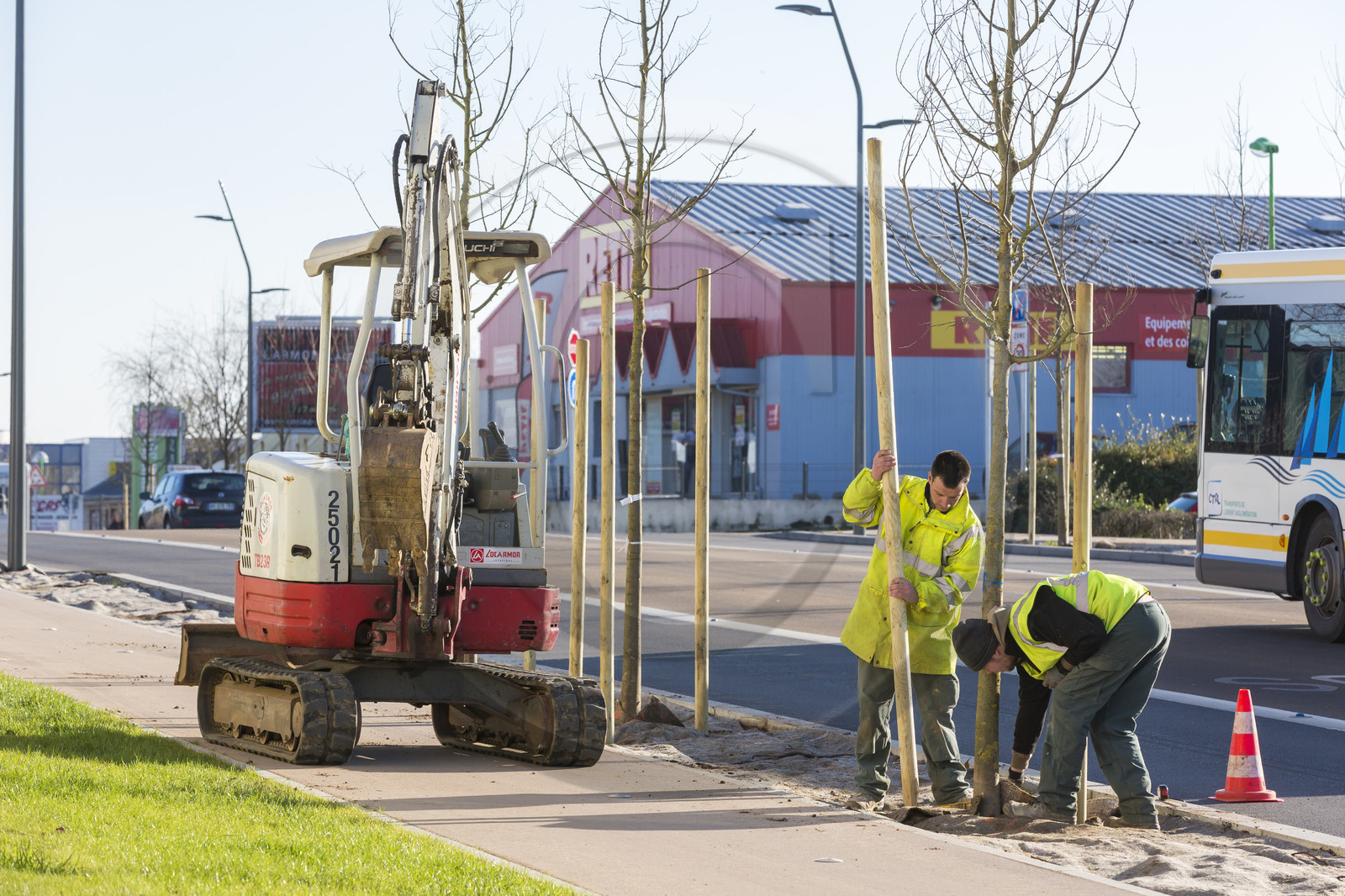 Triskell_Arbres_Queudet